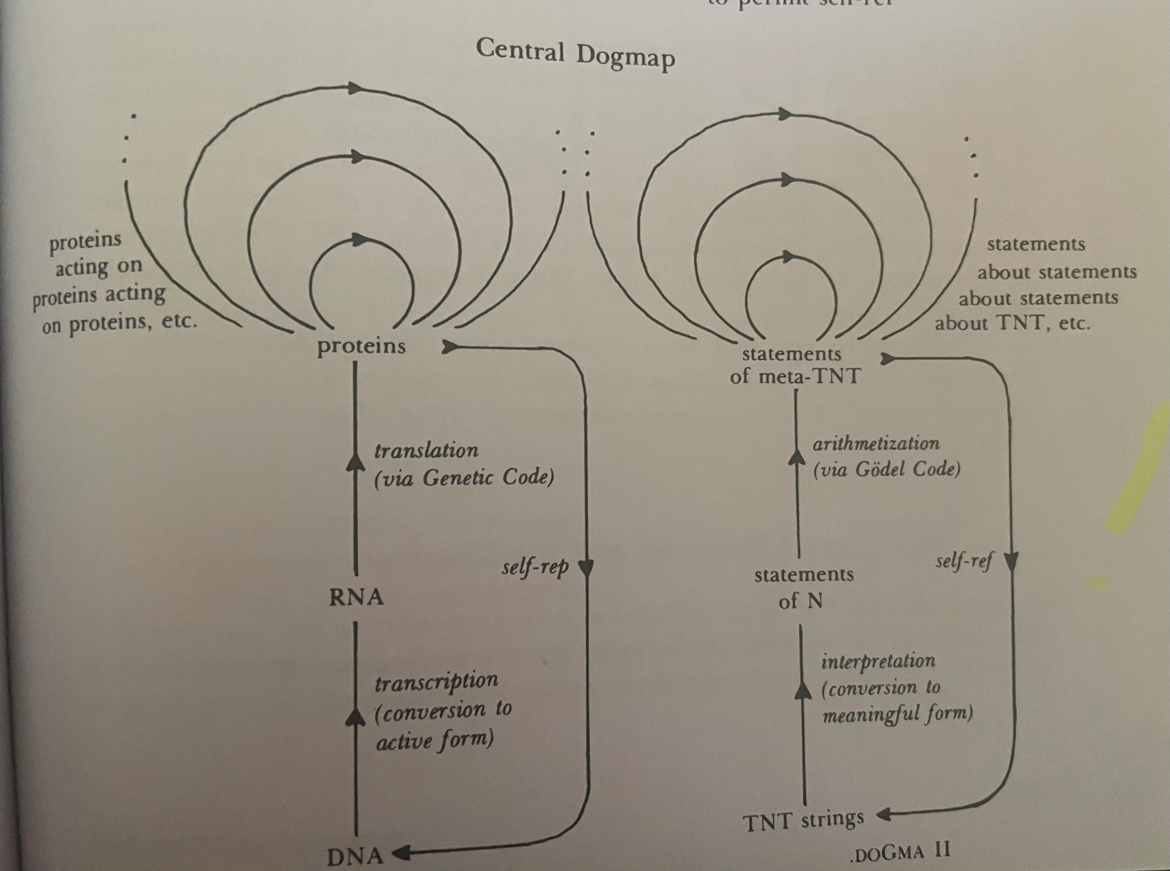 DNA recursion notes