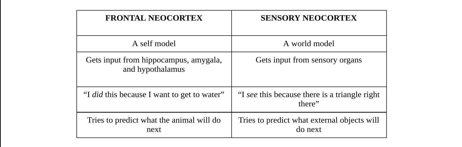 Neocortex columns