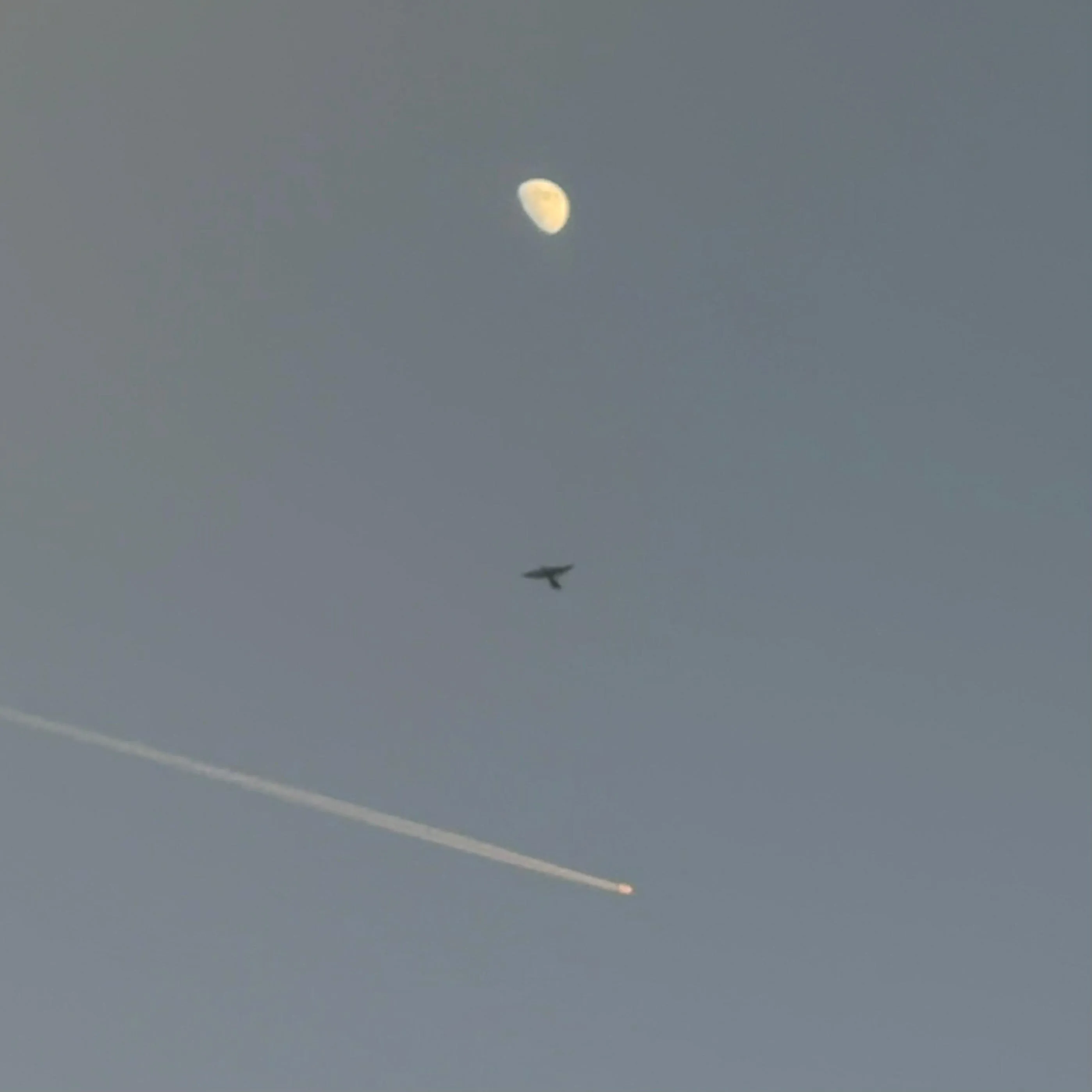 moon-bird-plane